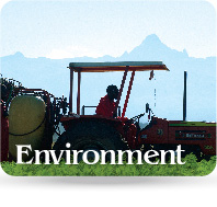 Environment