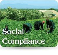 SocialCompliance