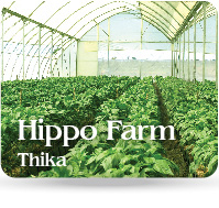 HippoFarm