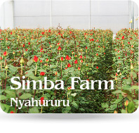 SimbaFarm