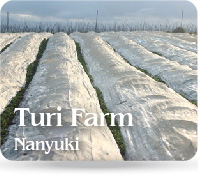 TuriFarm